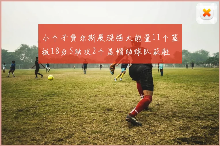 小个子费尔斯展现强大能量11个篮板18分5助攻2个盖帽助球队获胜