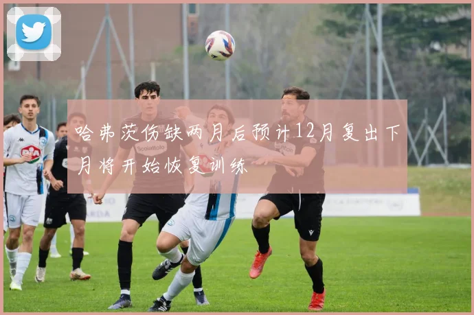 哈弗茨伤缺两月后预计12月复出下月将开始恢复训练