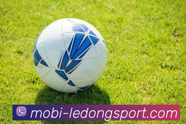 乐动体育品牌故事