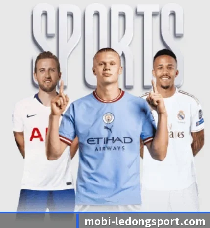 乐动体育 APP（LDSPORTS）