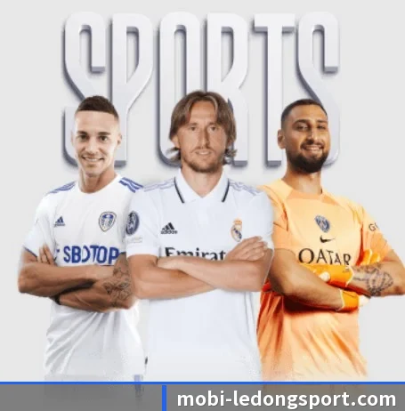 乐动体育 APP 界面（LDSPORTS）